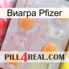 Виагра Pfizer 24